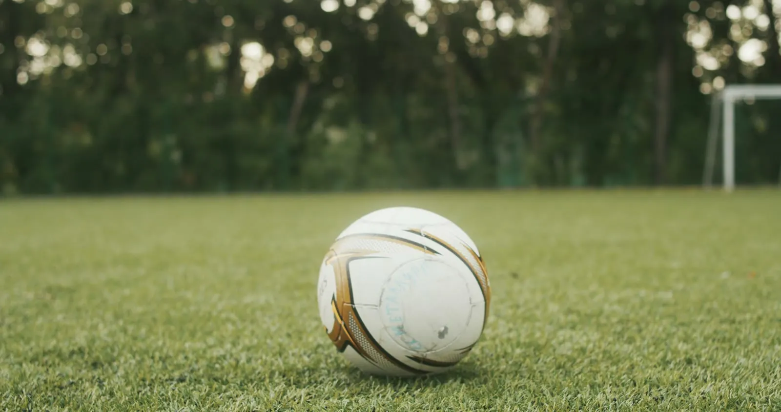 Soccer ball resting on a freshly cut grass pitch